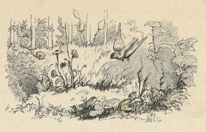 Hans Christian Andersen's Gåseurt (1838) Vilhelm Pedersen